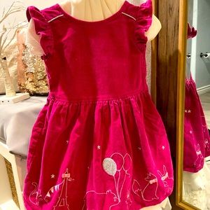 Velvet Fushia Dress